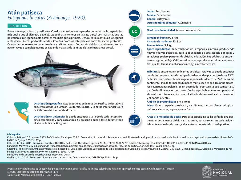 atun_patiseca