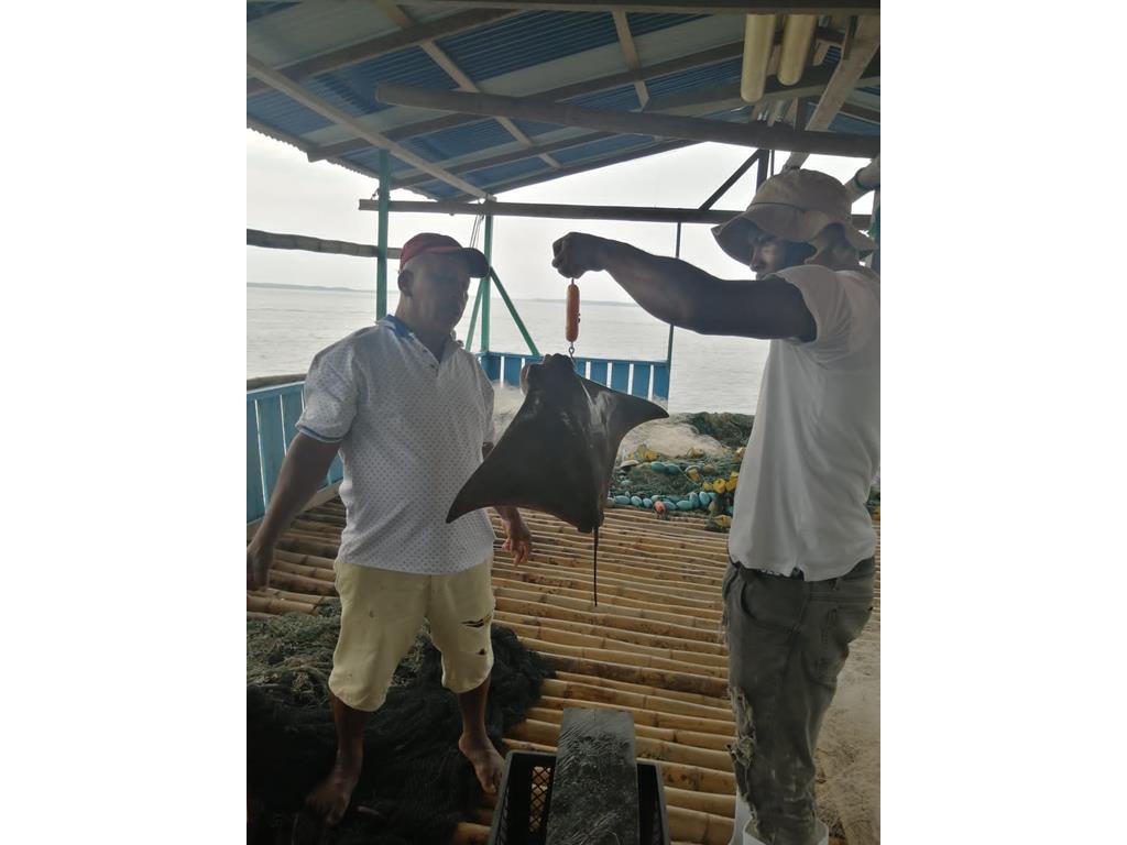 Creditos: Geopesca Tumaco 2.0