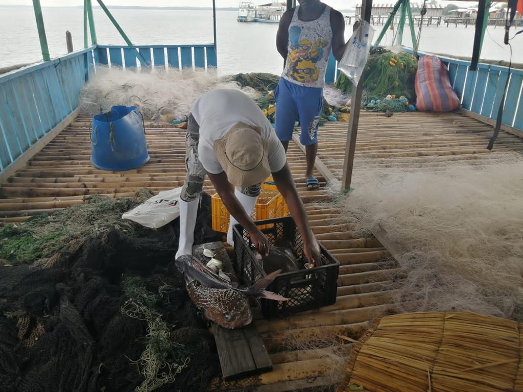 Creditos: Geopesca Tumaco 2.0