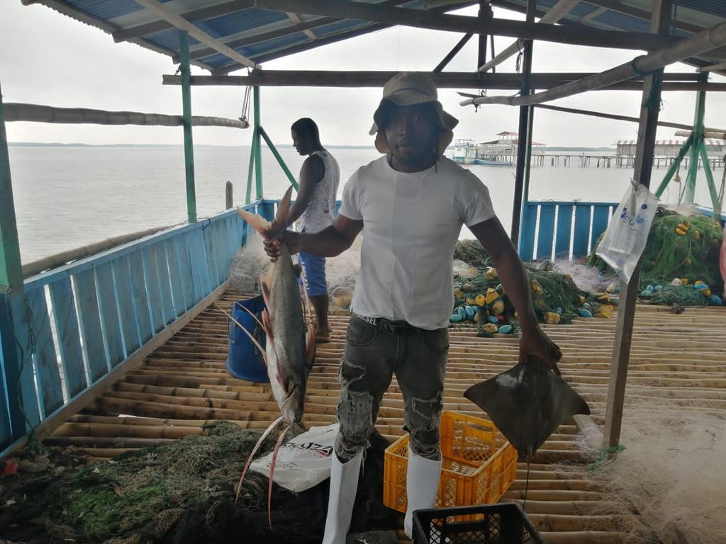 Creditos: Geopesca Tumaco 2.0