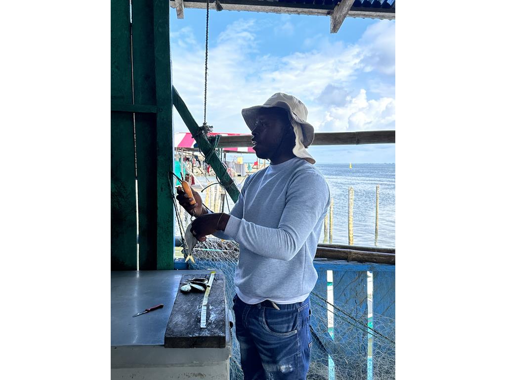 Creditos: Geopesca Tumaco 2.0
