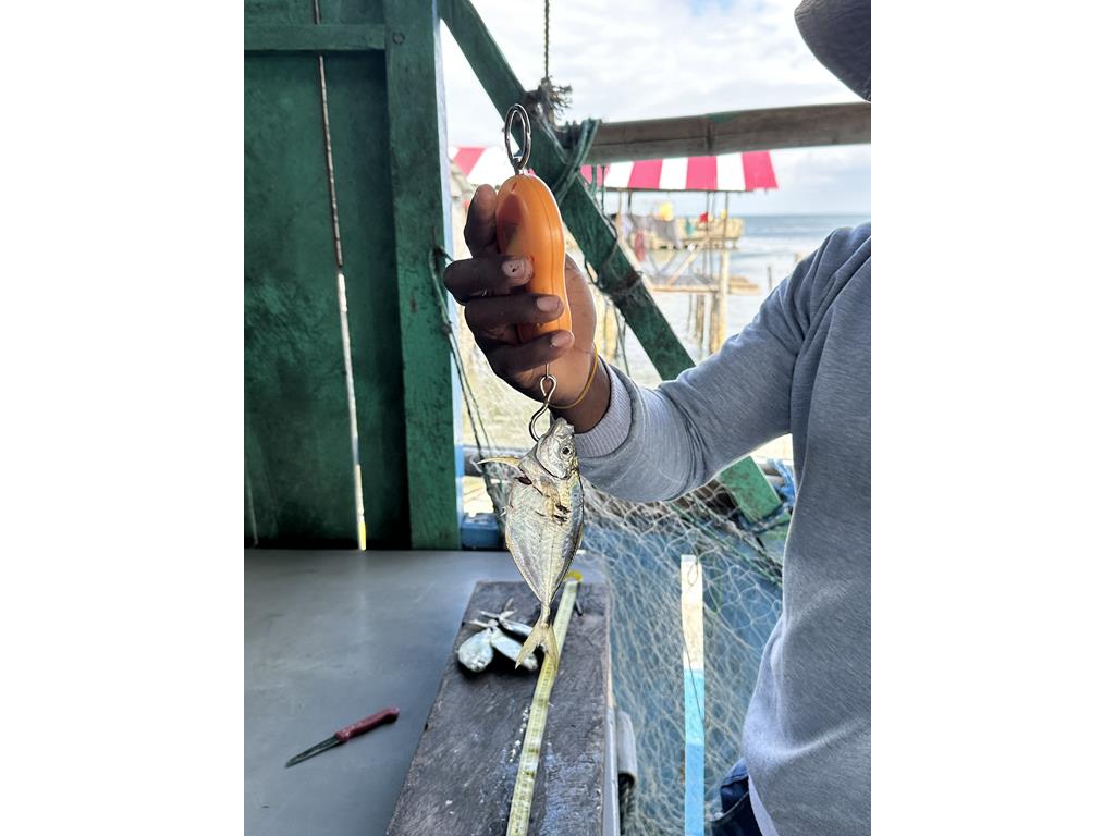 Creditos: Geopesca Tumaco 2.0