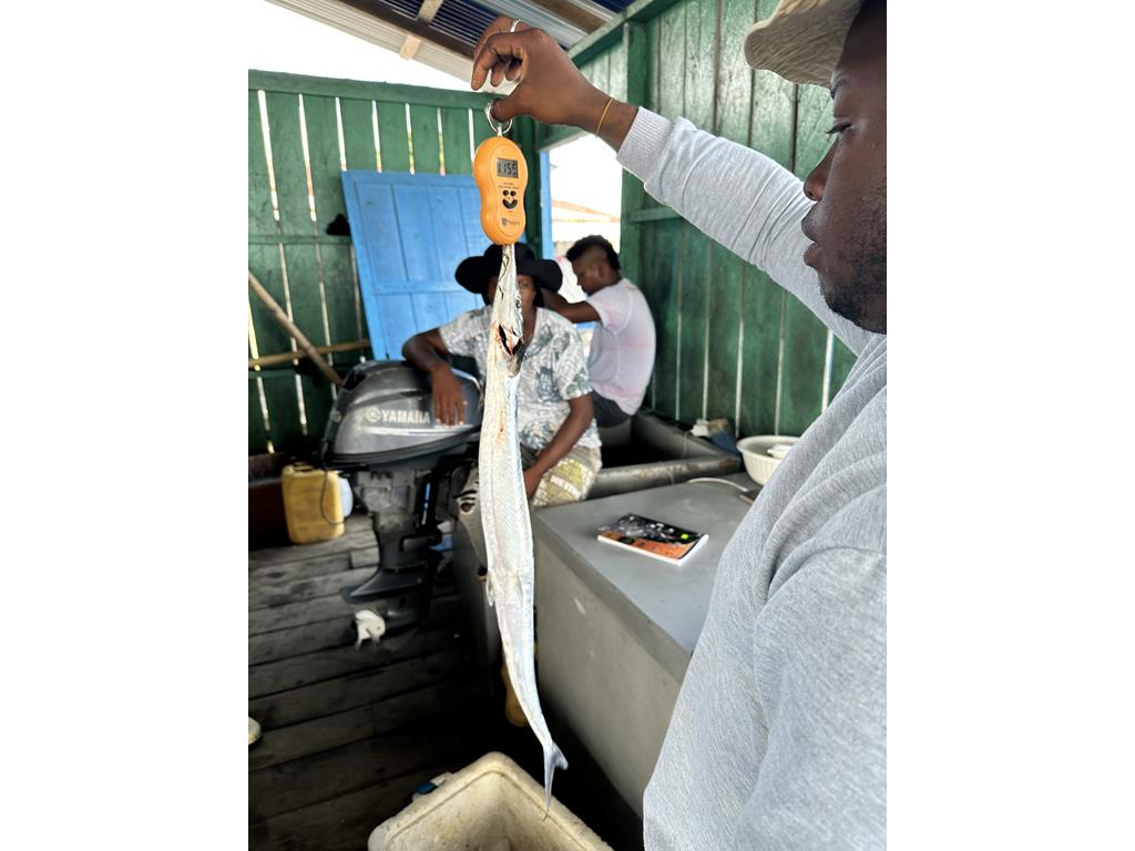Creditos: Geopesca Tumaco 2.0