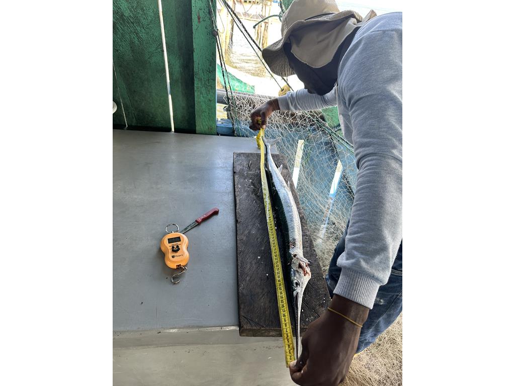 Creditos: Geopesca Tumaco 2.0