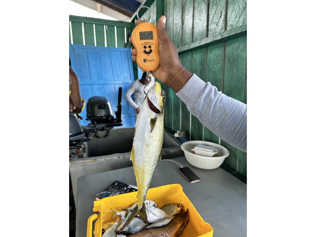 Creditos: Geopesca Tumaco 2.0