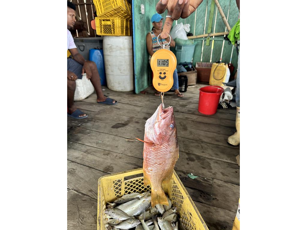 Creditos: Geopesca Tumaco 2.0
