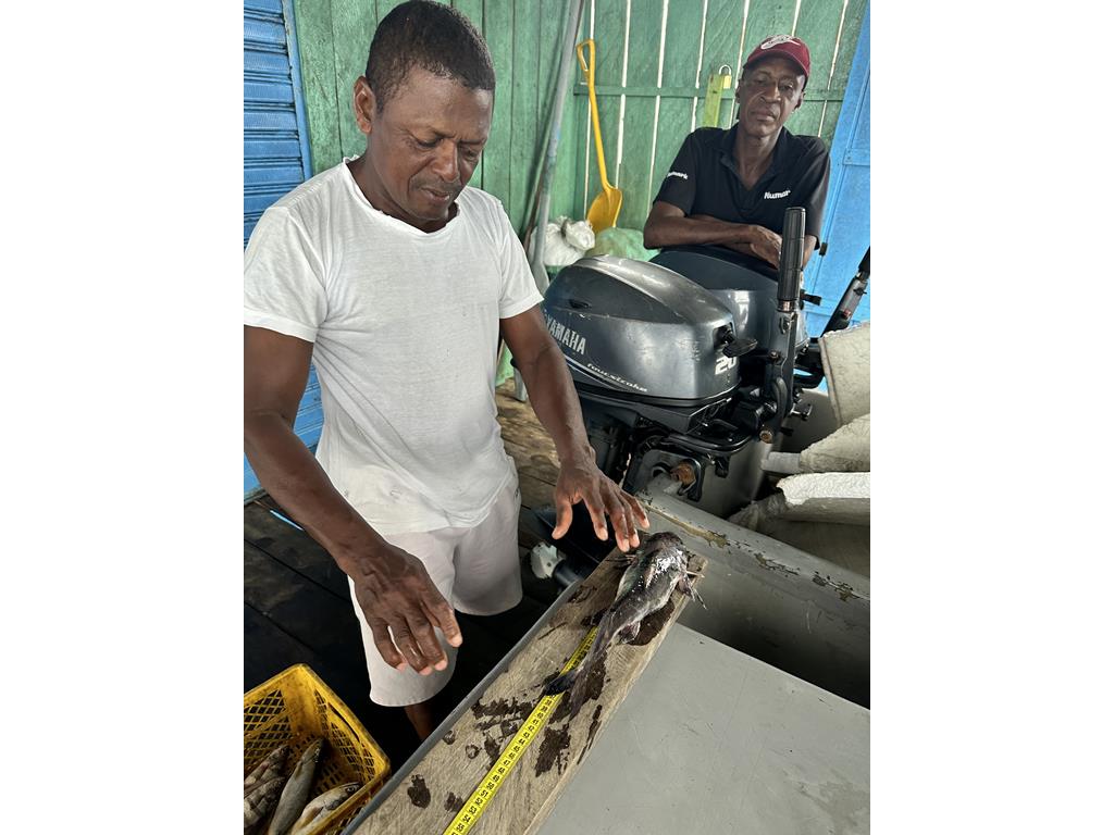 Creditos: Geopesca Tumaco 2.0