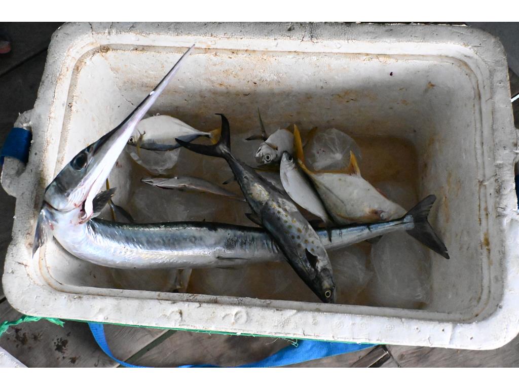 Creditos: Geopesca Tumaco 2.0