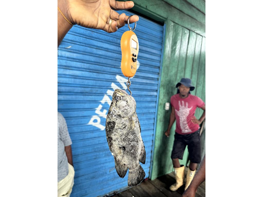 Creditos: Geopesca Tumaco 2.0