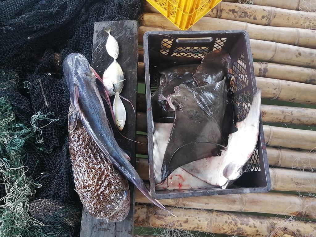 Creditos: Geopesca Tumaco 2.0
