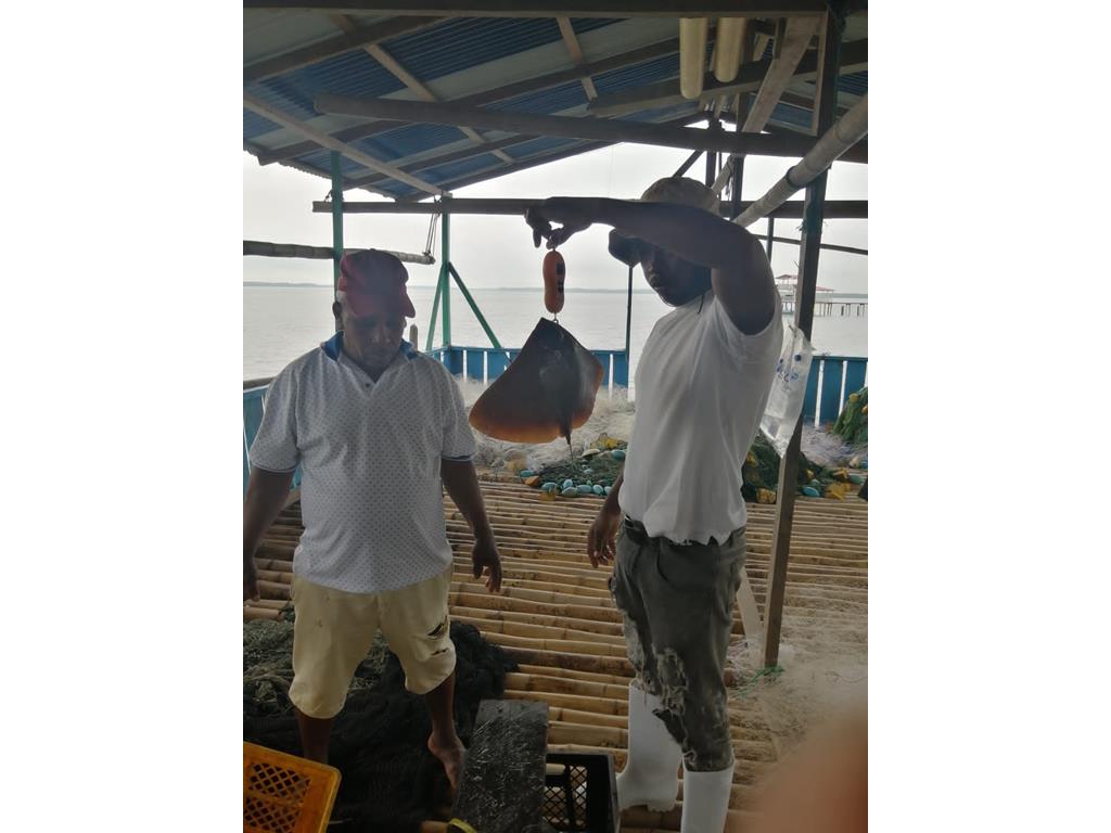 Creditos: Geopesca Tumaco 2.0