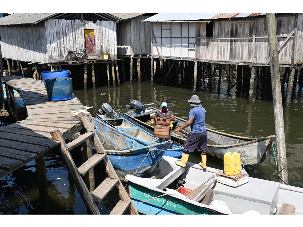 Creditos: Geopesca Tumaco 2.0