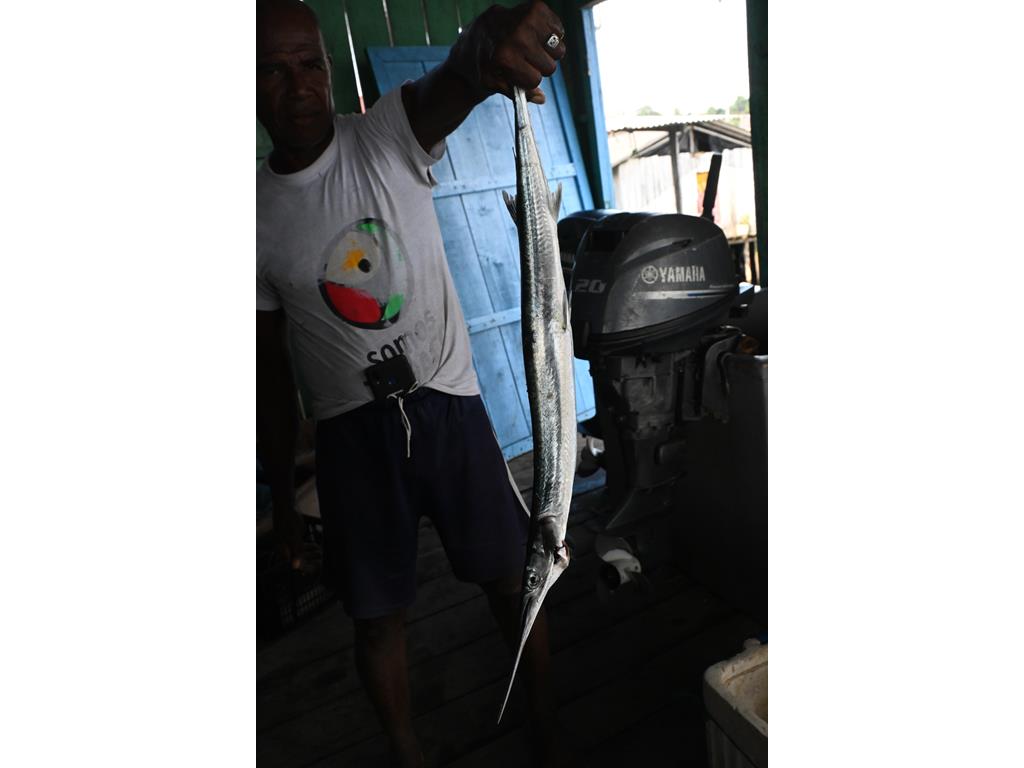 Creditos: Geopesca Tumaco 2.0