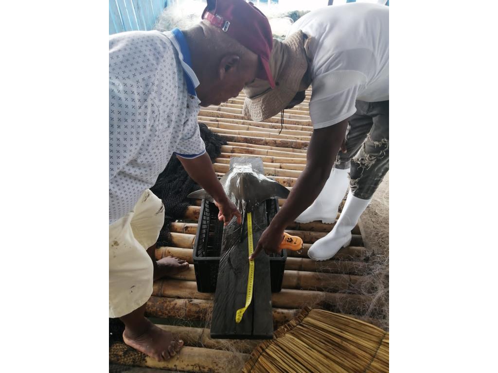 Creditos: Geopesca Tumaco 2.0