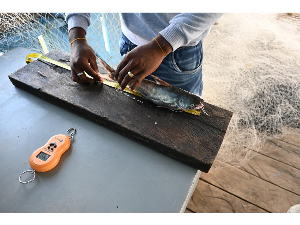 Creditos: Geopesca Tumaco 2.0