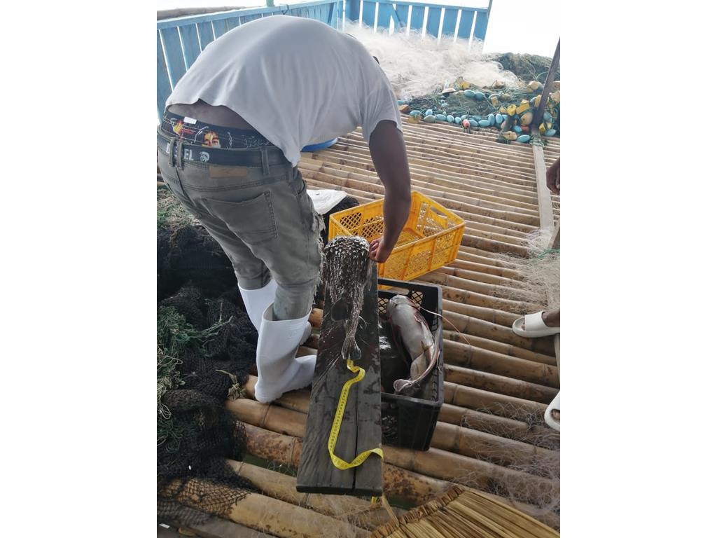 Creditos: Geopesca Tumaco 2.0