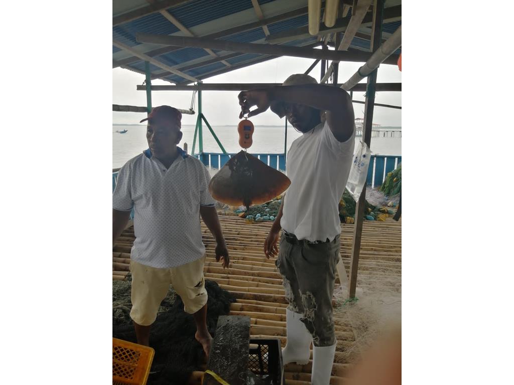 Creditos: Geopesca Tumaco 2.0
