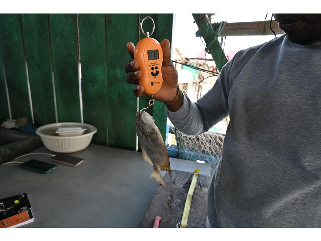 Creditos: Geopesca Tumaco 2.0