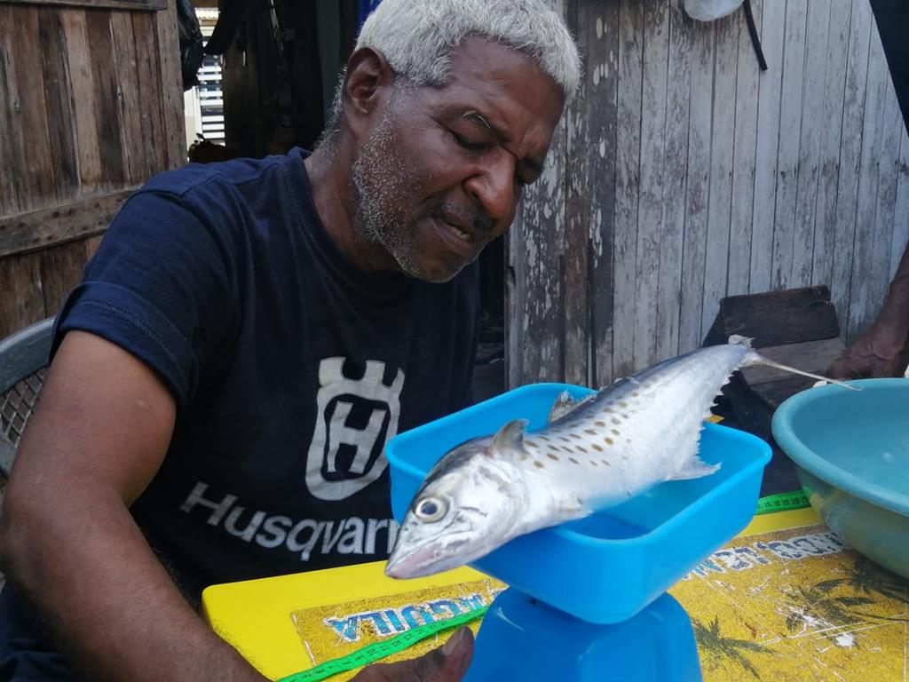 Creditos: Geopesca Tumaco 2.0