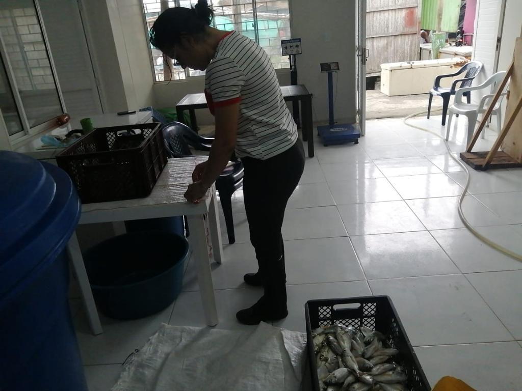 Creditos: Geopesca Tumaco 2.0