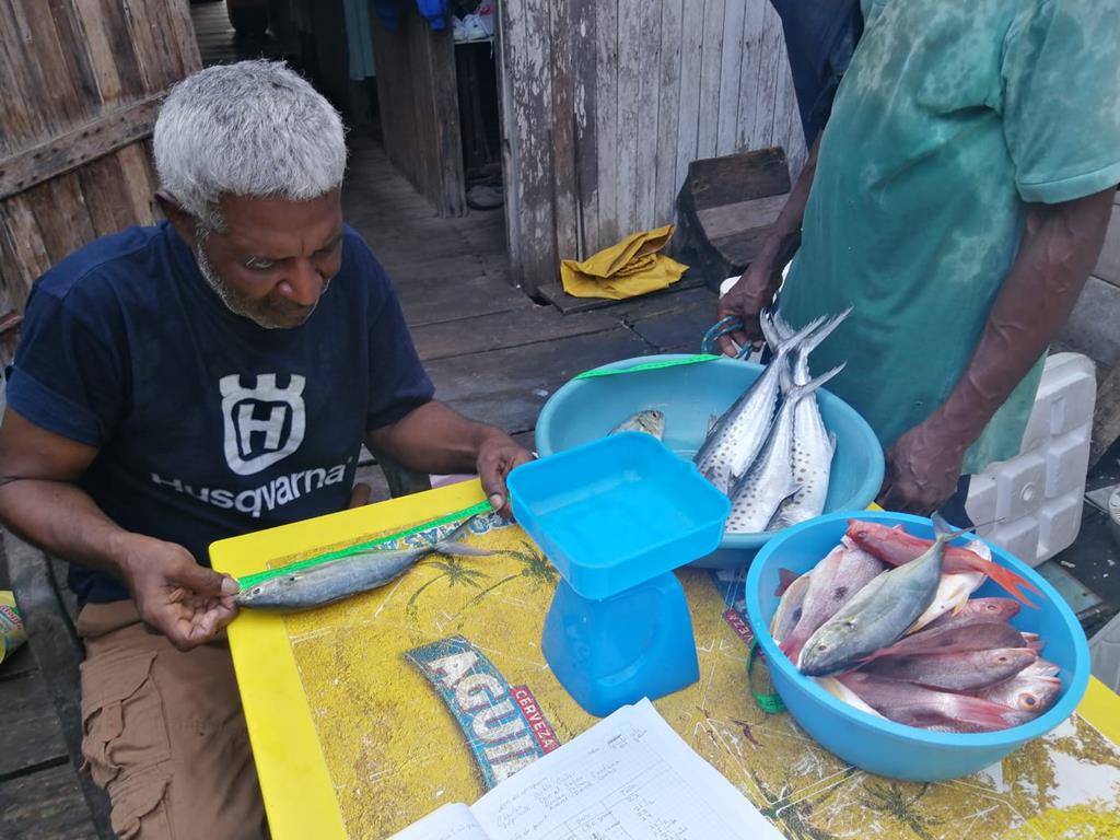 Creditos: Geopesca Tumaco 2.0