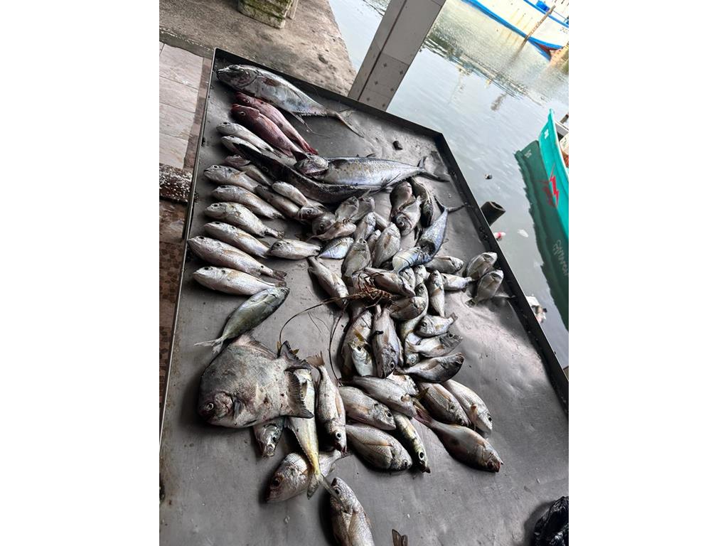 Creditos: Geopesca Tumaco 2.0