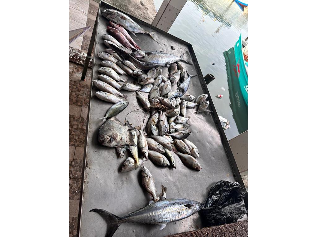 Creditos: Geopesca Tumaco 2.0
