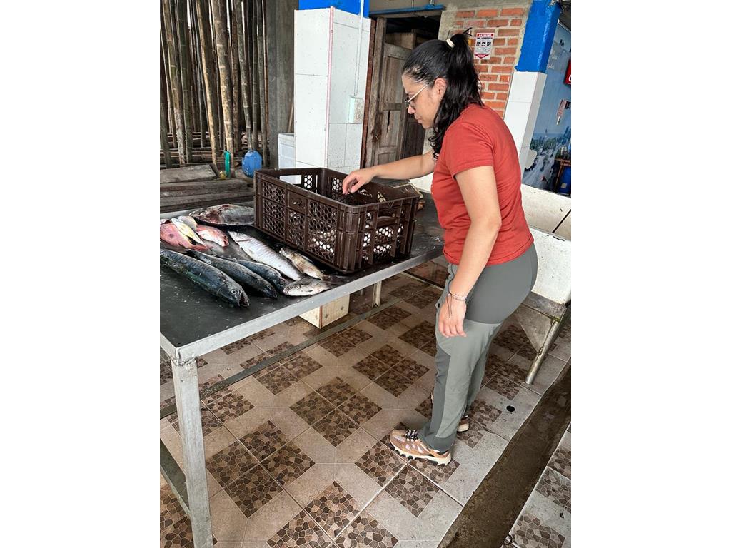 Creditos: Geopesca Tumaco 2.0