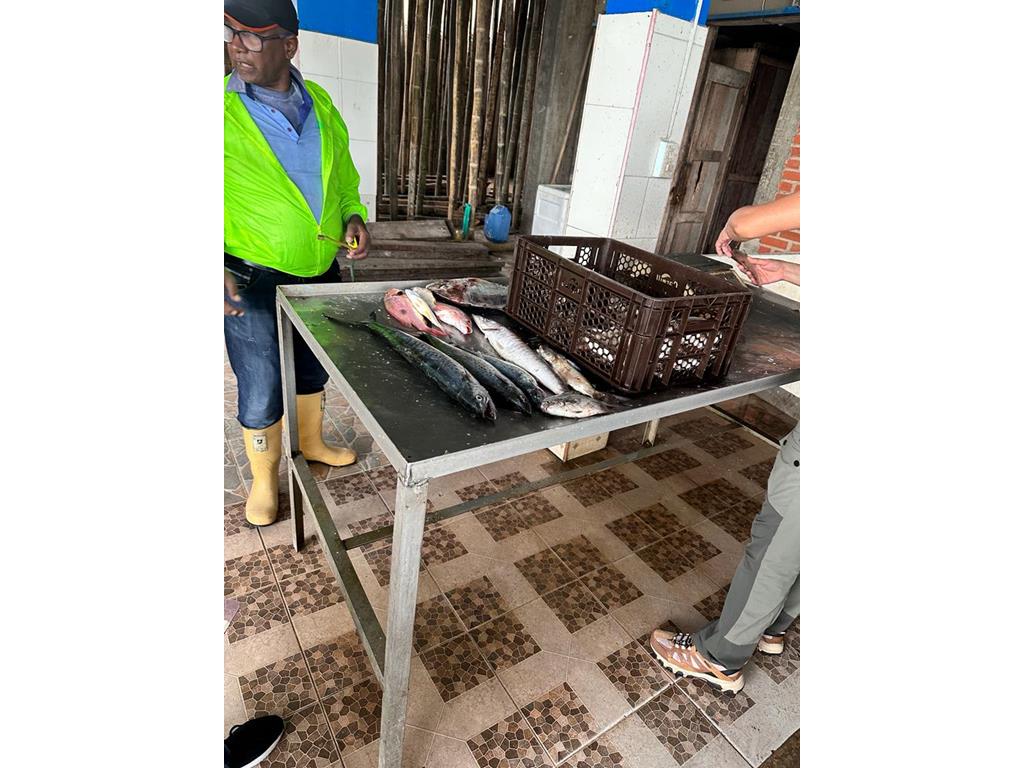Creditos: Geopesca Tumaco 2.0