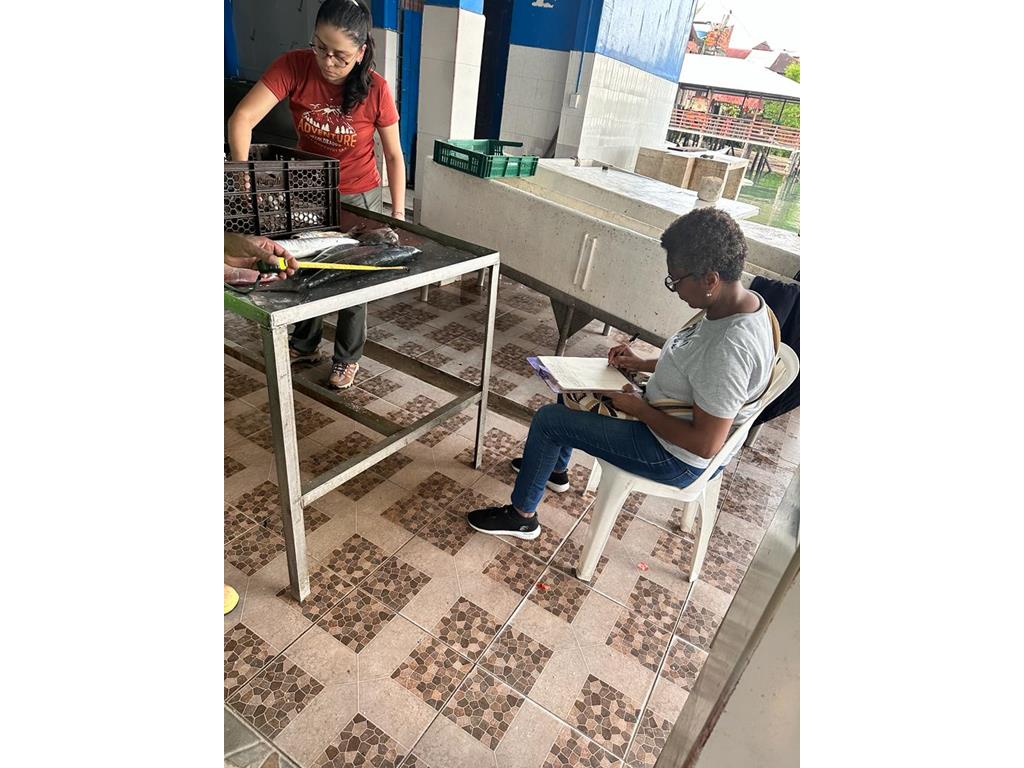 Creditos: Geopesca Tumaco 2.0