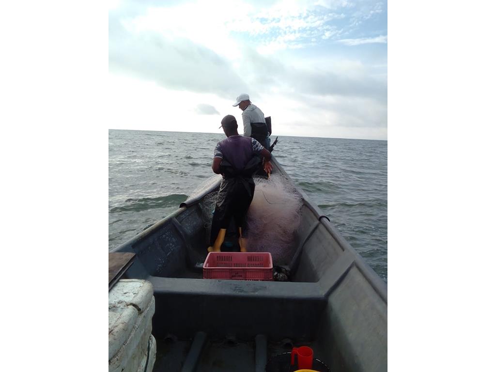 Creditos: Geopesca Tumaco 2.0