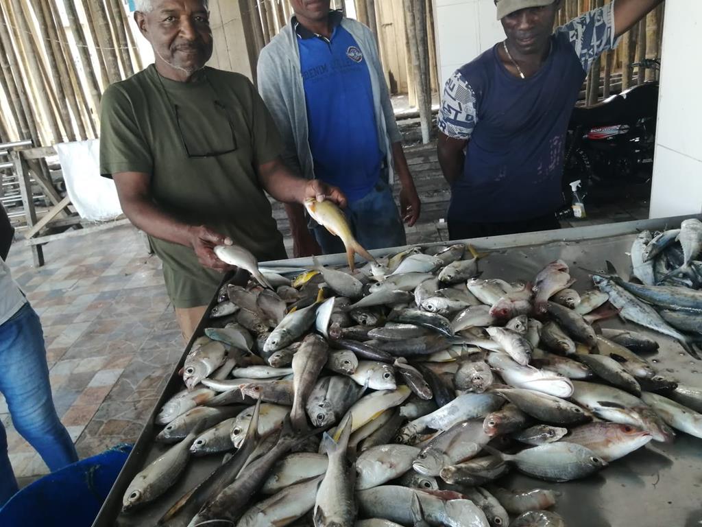 Creditos: Geopesca Tumaco 2.0