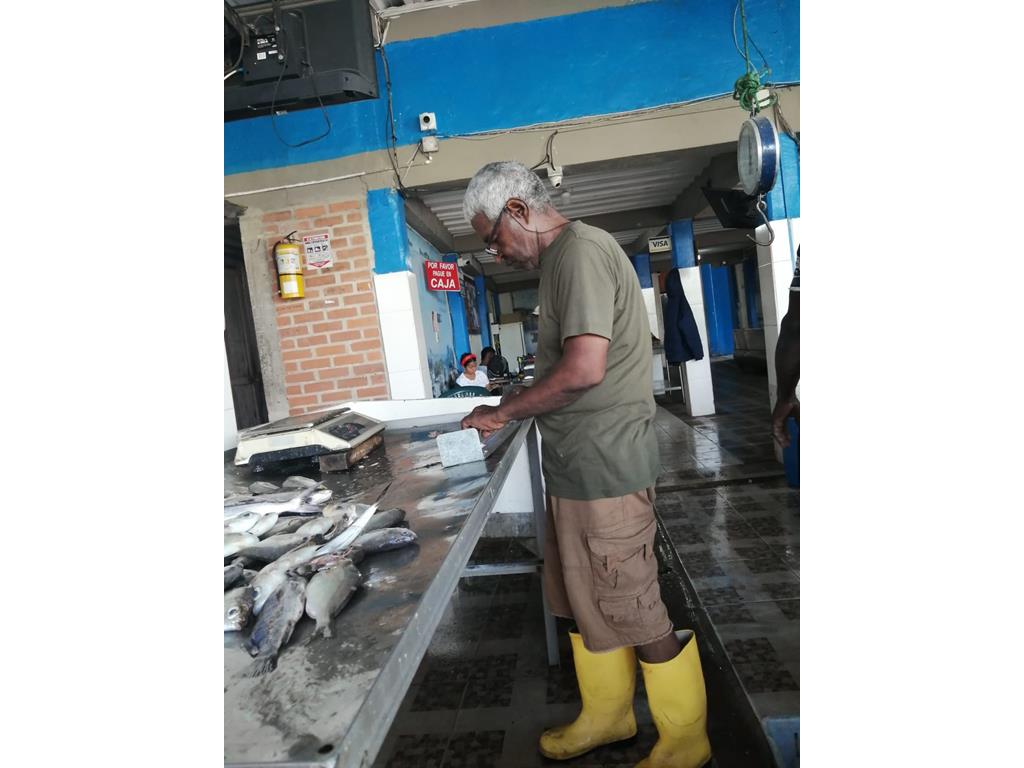 Creditos: Geopesca Tumaco 2.0