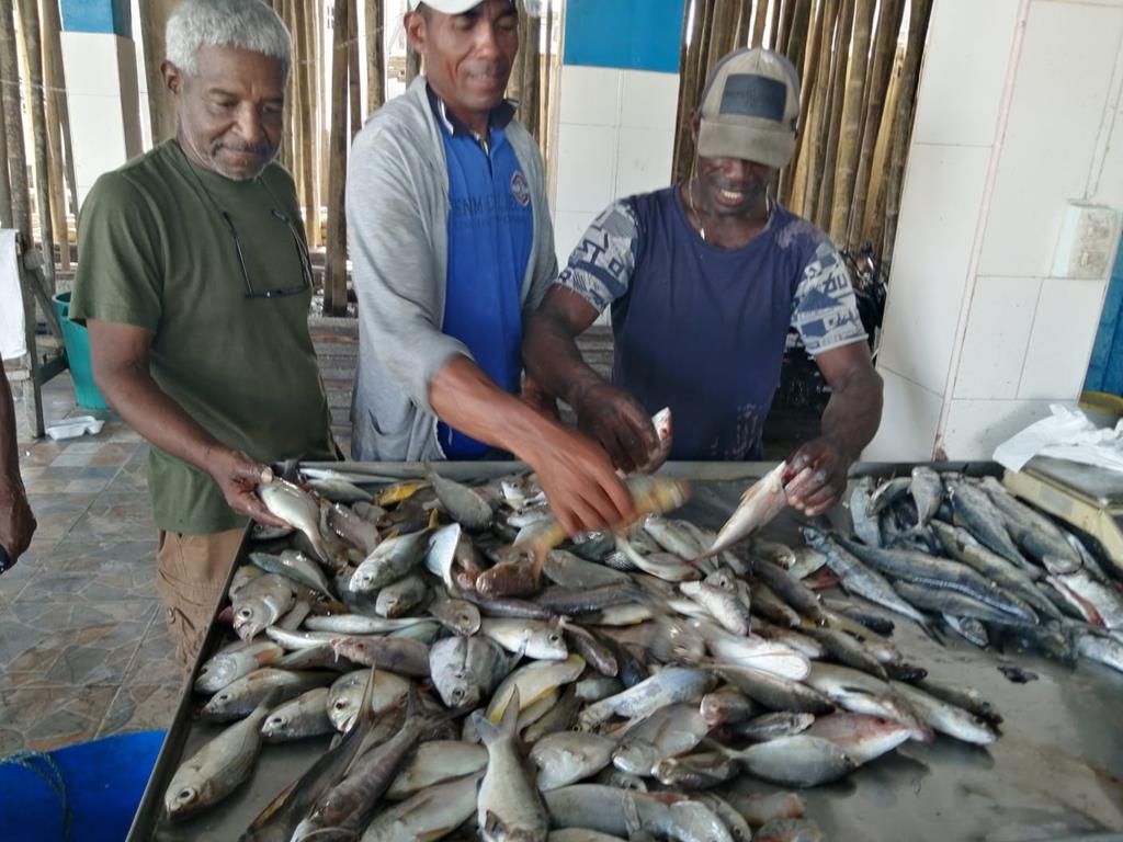 Creditos: Geopesca Tumaco 2.0