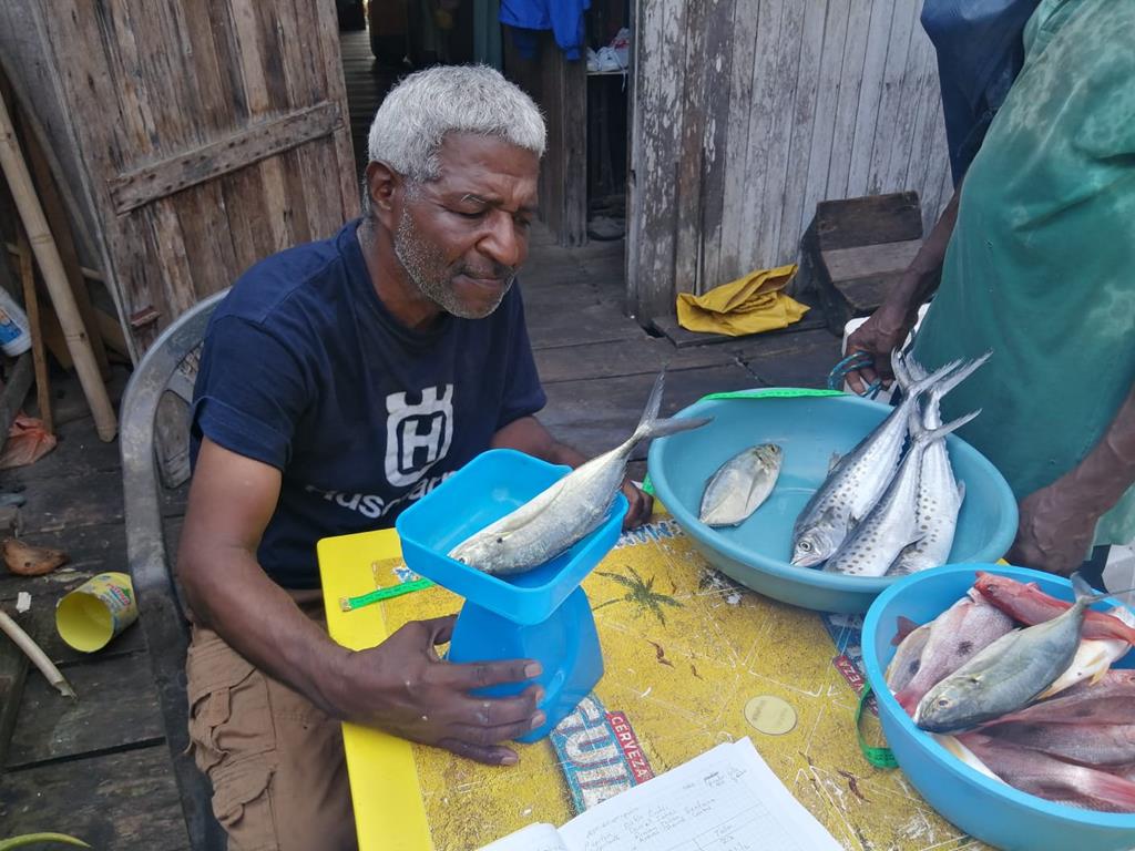 Creditos: Geopesca Tumaco 2.0