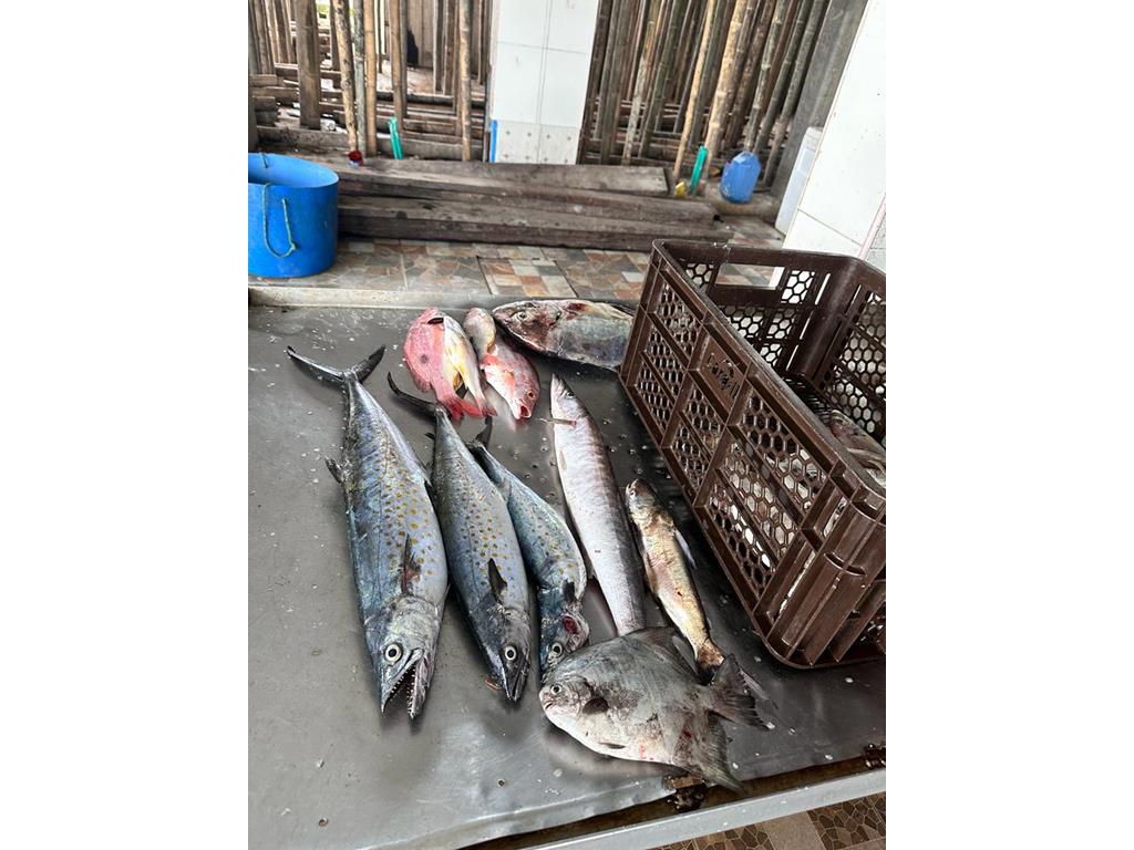 Creditos: Geopesca Tumaco 2.0