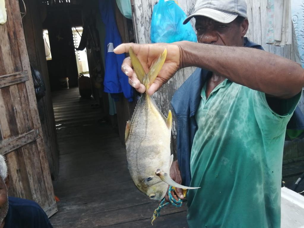 Creditos: Geopesca Tumaco 2.0