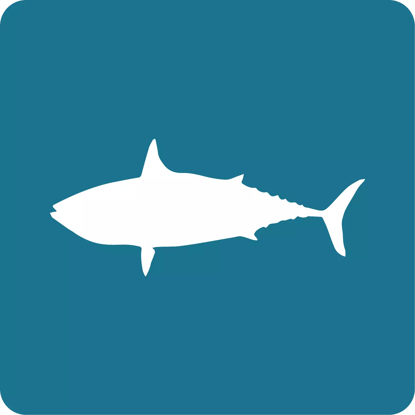 atun_patiseca