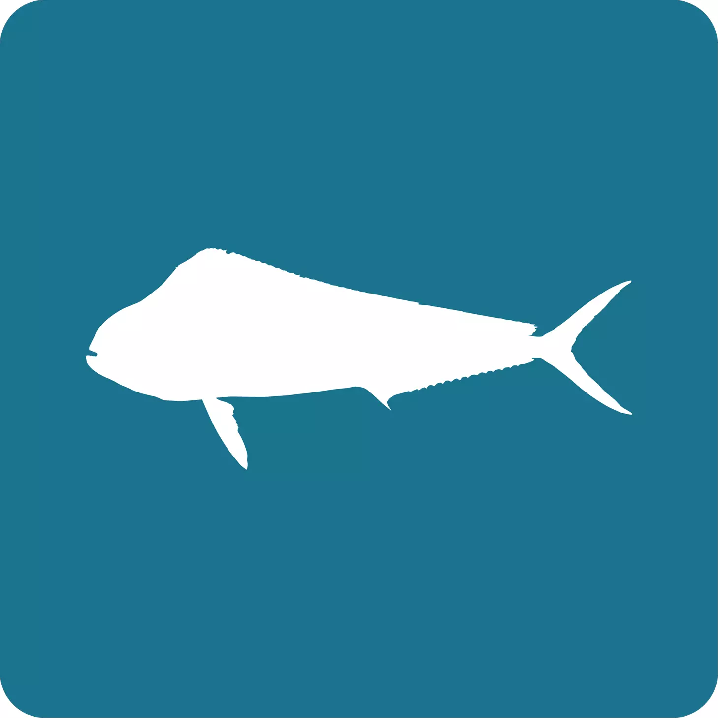 dorado
