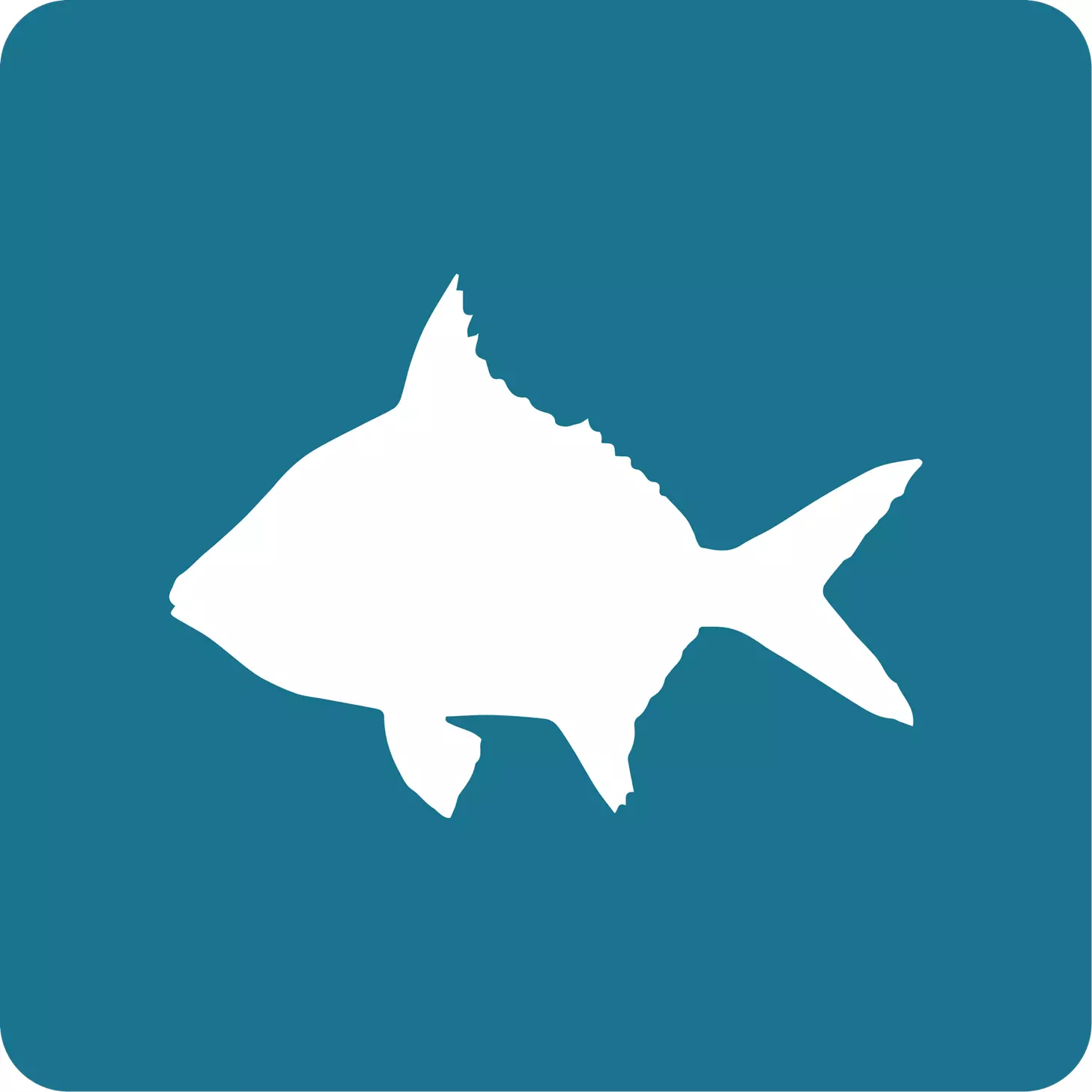 palometa