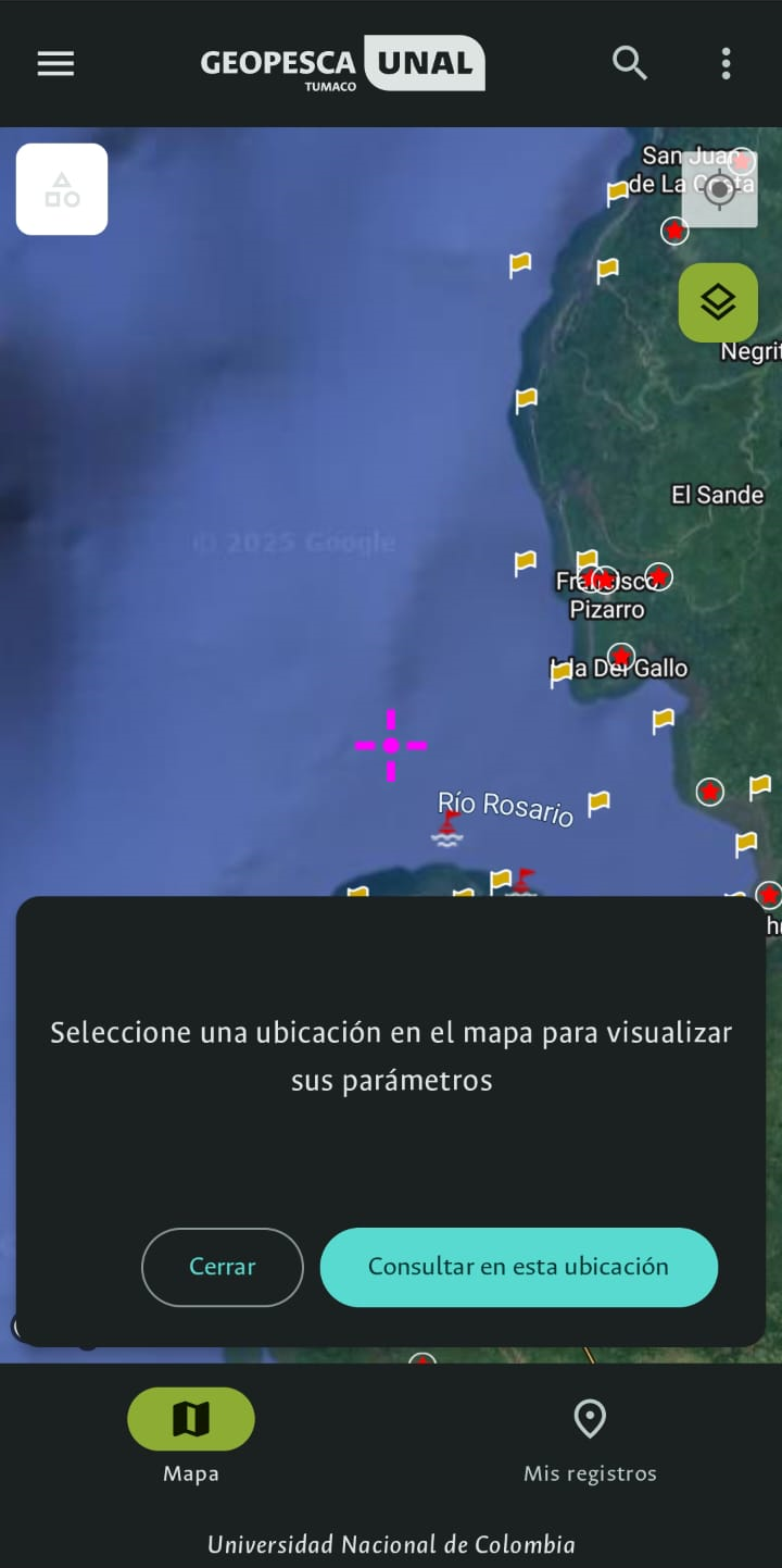 Imagen 10